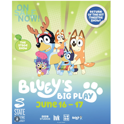 Bluey's Big Play